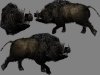 wildboar copy.jpg