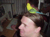 mvc-012xsmall1.gif