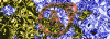 hl2.gif