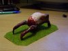 headcrab.jpg
