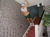 fallingkidstairs.jpg