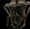 legs.jpg