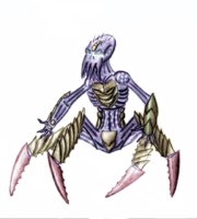 Maraudercol3i.jpg