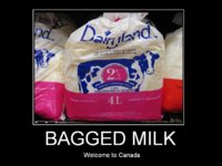 bagged milk.jpg