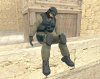 ragdoll.jpg