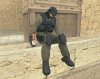 ragdoll.jpg