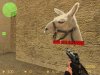 llama.jpg