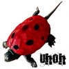 beetle_turtle.jpg