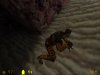 nohelmet.jpg