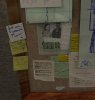 eli-fozia-paper.jpg