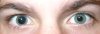 googly eyes.jpg