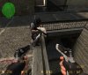 Terrorist hossie 6.JPG