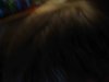 IMG_0417copy.jpg
