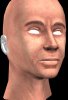 update4.jpg