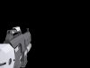 Assault RifleFP.jpg