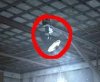 lightprop.JPG