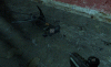 d2_prison_070002.GIF