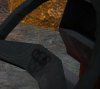 bear.JPG