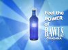 bawls_wallpaper54.jpg