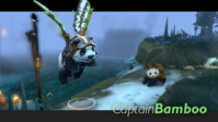 CaptainBamboo.png