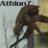 Athlon7